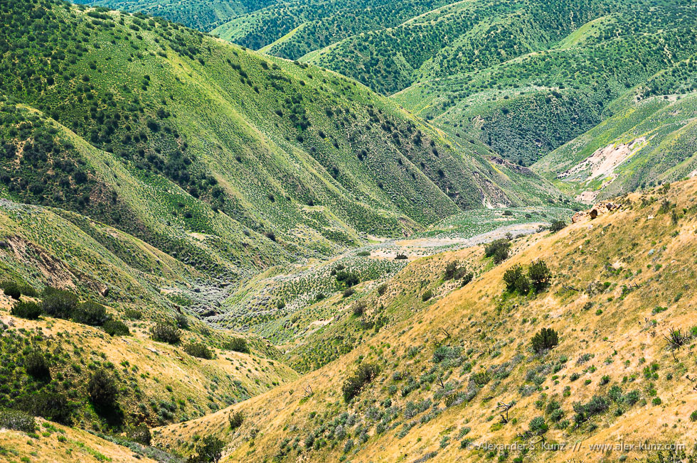 Caliente Ridge Gorge © Alexander S. Kunz