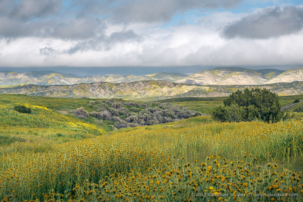 Elkhorn Hills from Caliente Range © Alexander S. Kunz