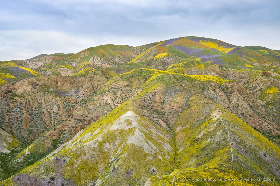 Temblor Range © Alexander S. Kunz