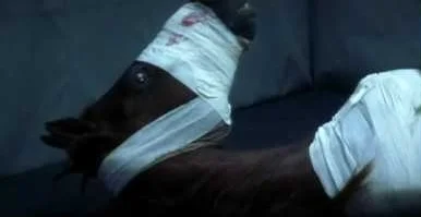 Pilgrim's journey parallels that of his rider and reflects the journey of all those who have been wounded by life.