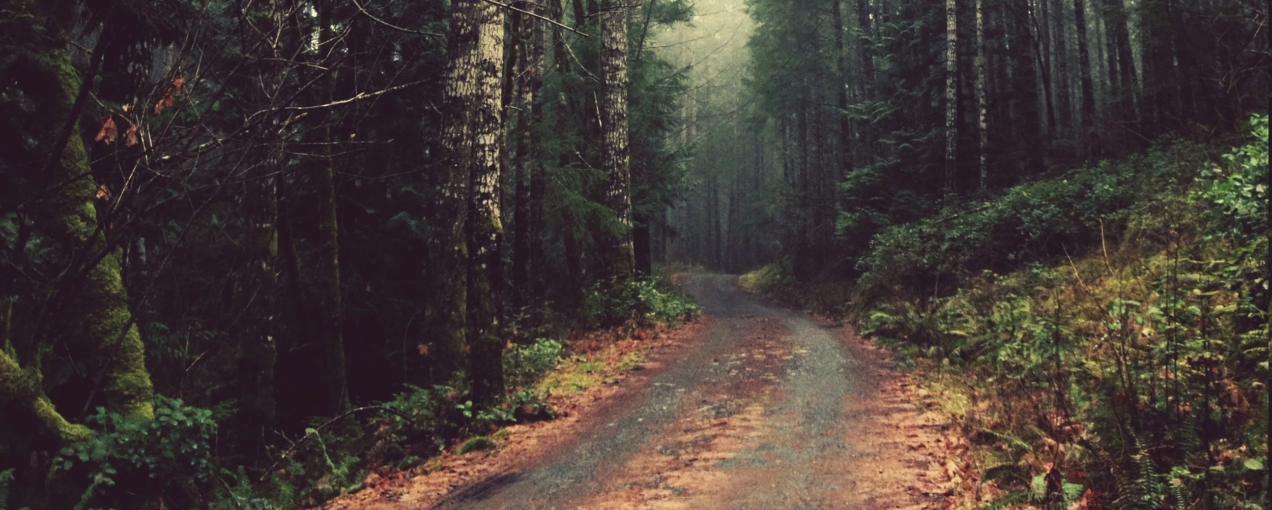 nature-1507938531480-4508.jpeg