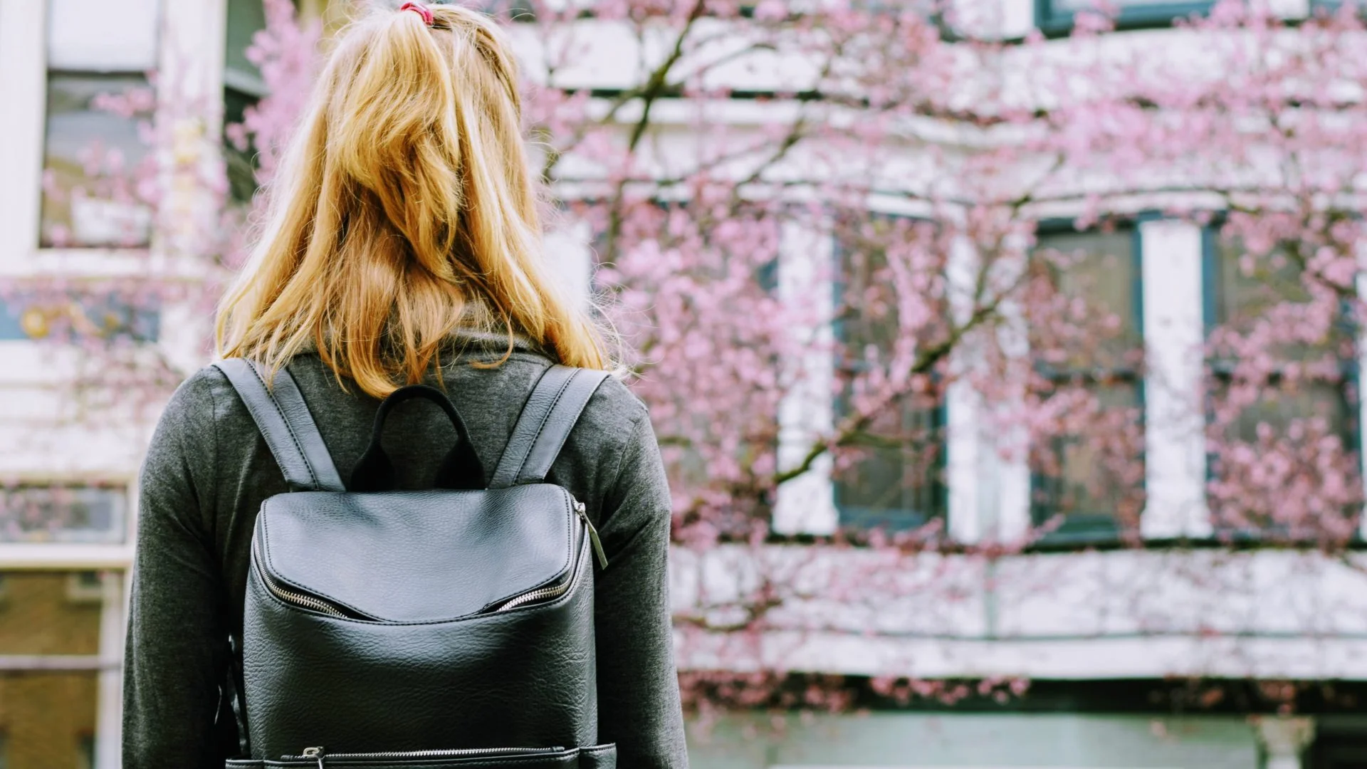 Back-Pack-1920x1080.jpg