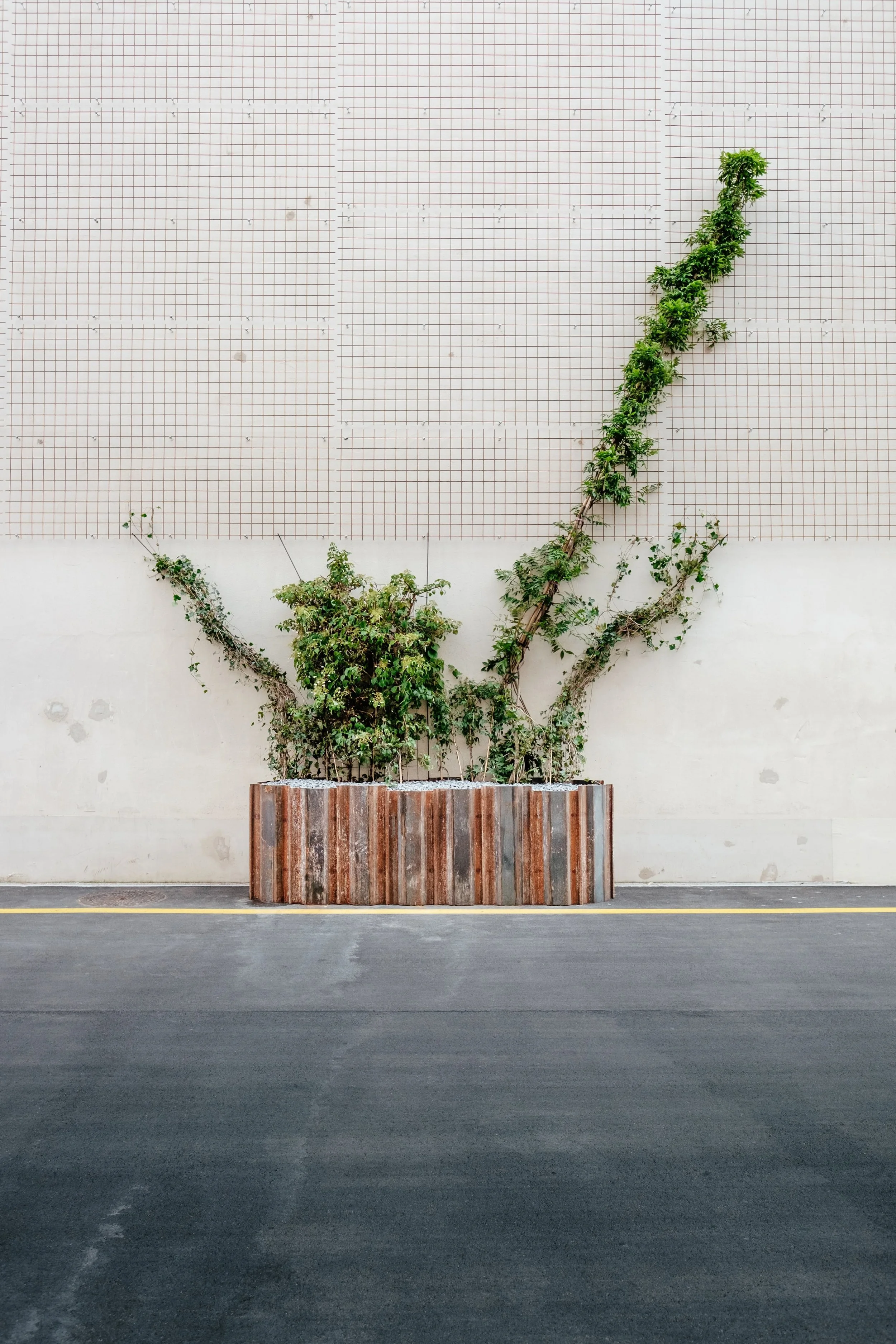 samuel-zeller-p7E7GWWX0eg-unsplash-min.jpg