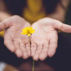 Narcissistic abuse recovery