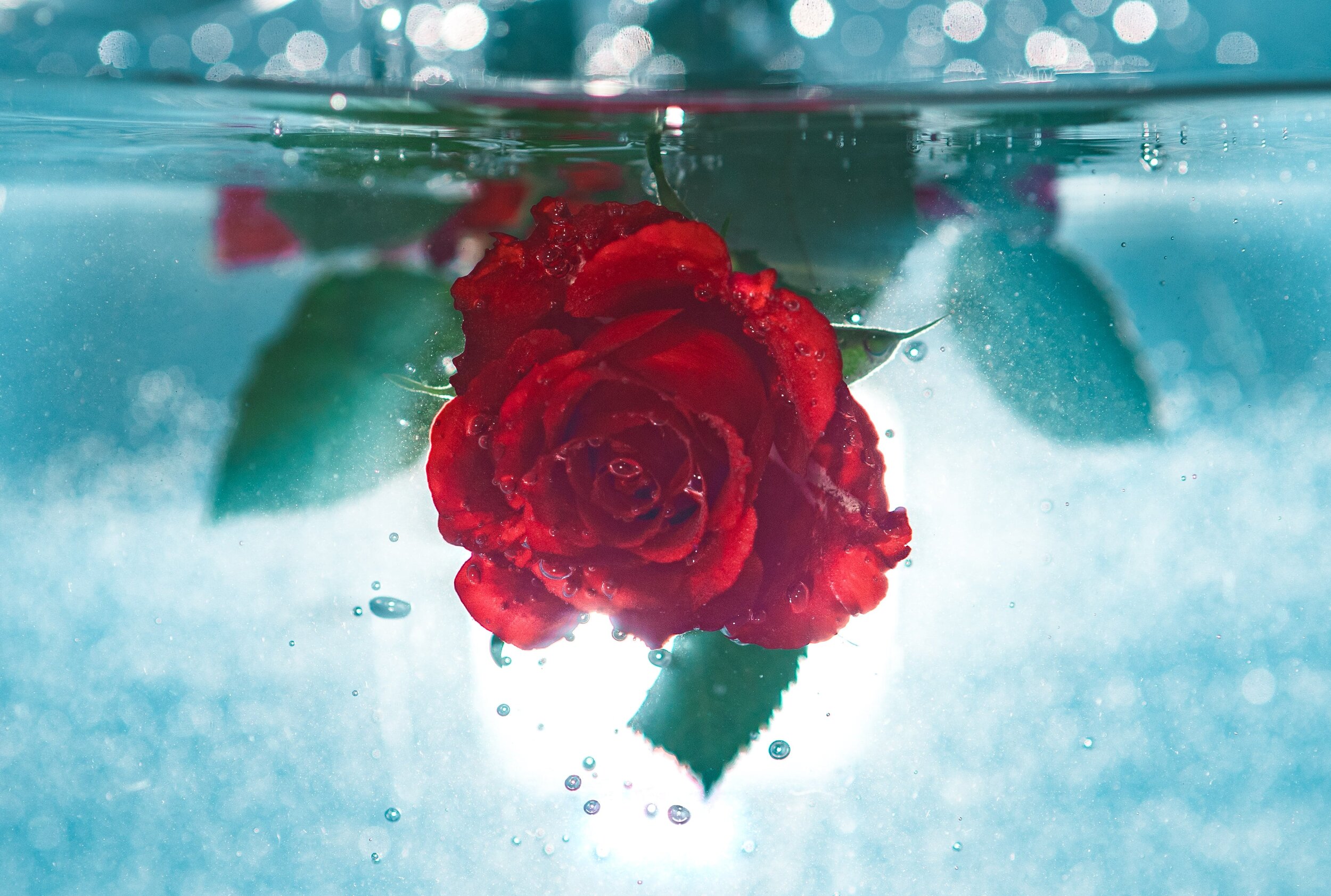 Can Narcissists Love?