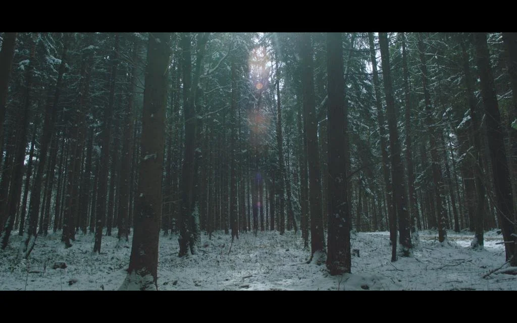 THE CHILD IN THE BOX: Who Killed Ursula Herrmann (feature)