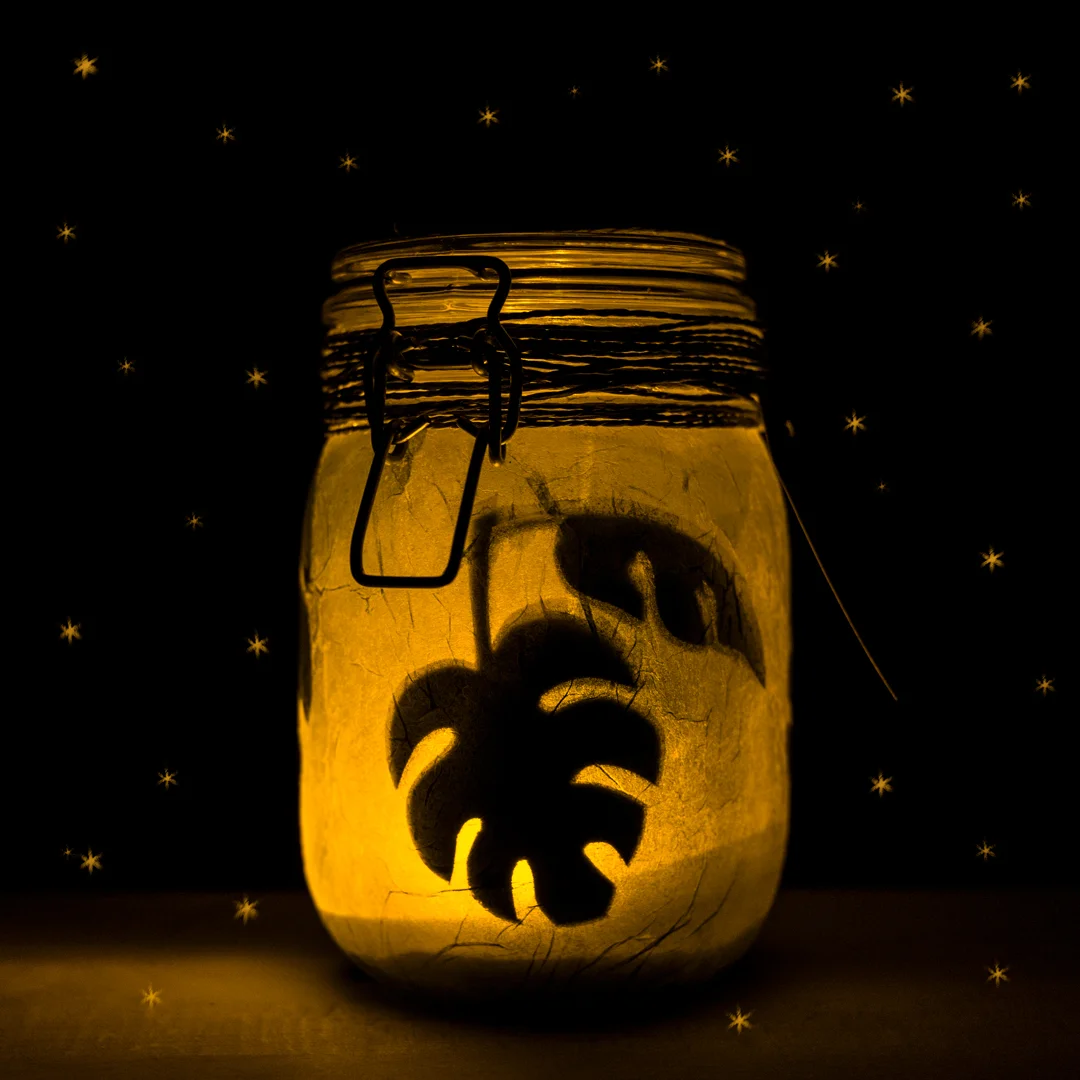 la_jungle_nuit-etoiles.jpg