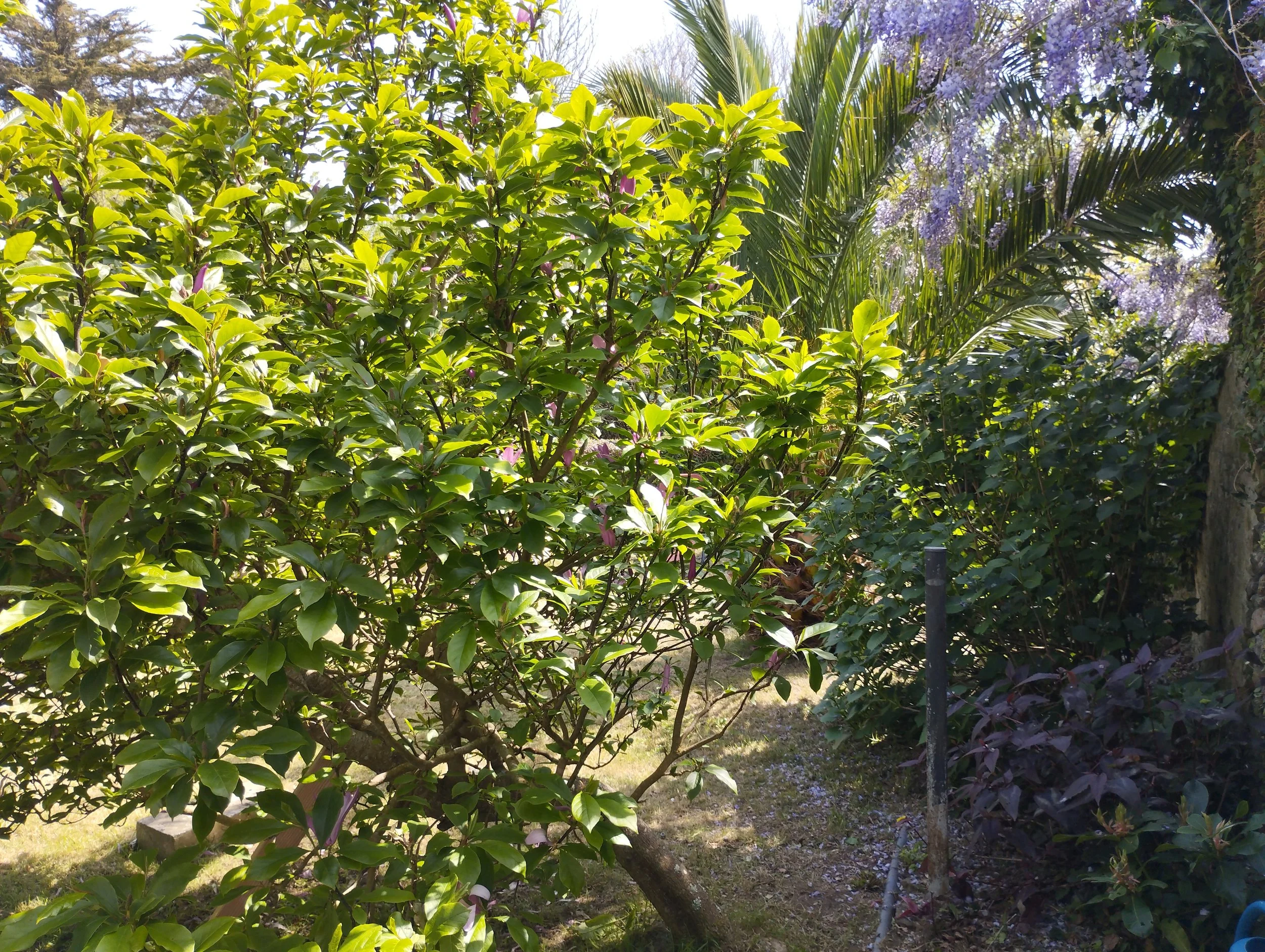 IMG_20260426_144828.jpg