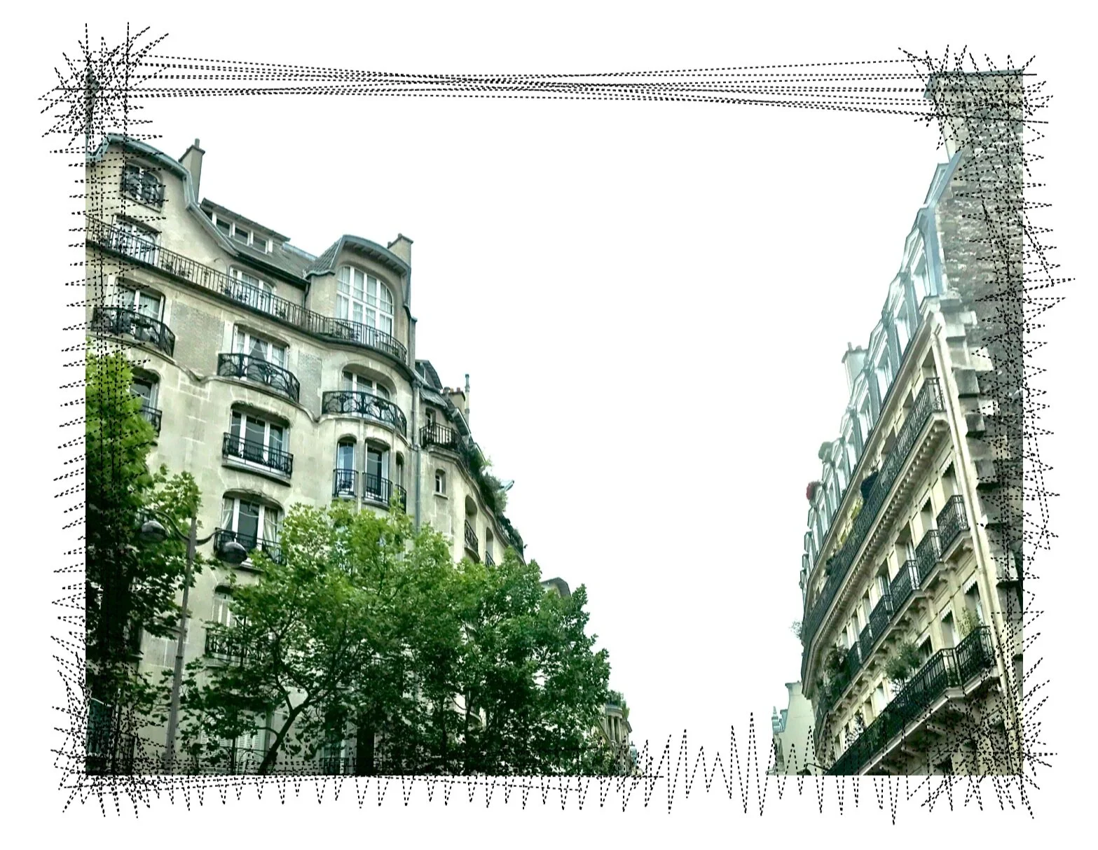 Screen+Shot+2020-06-03+at+3.04.51+PM.jpg