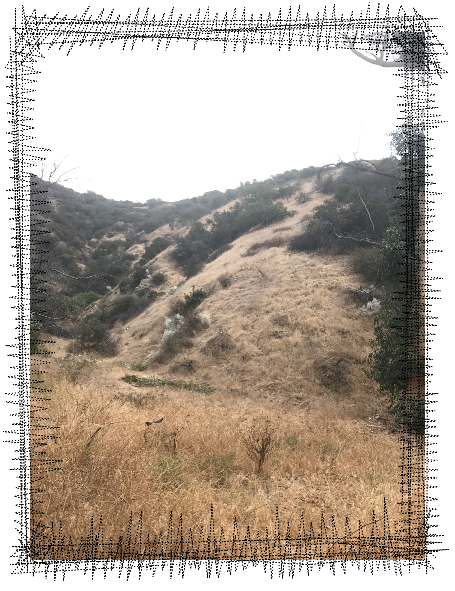 HILLSIDE