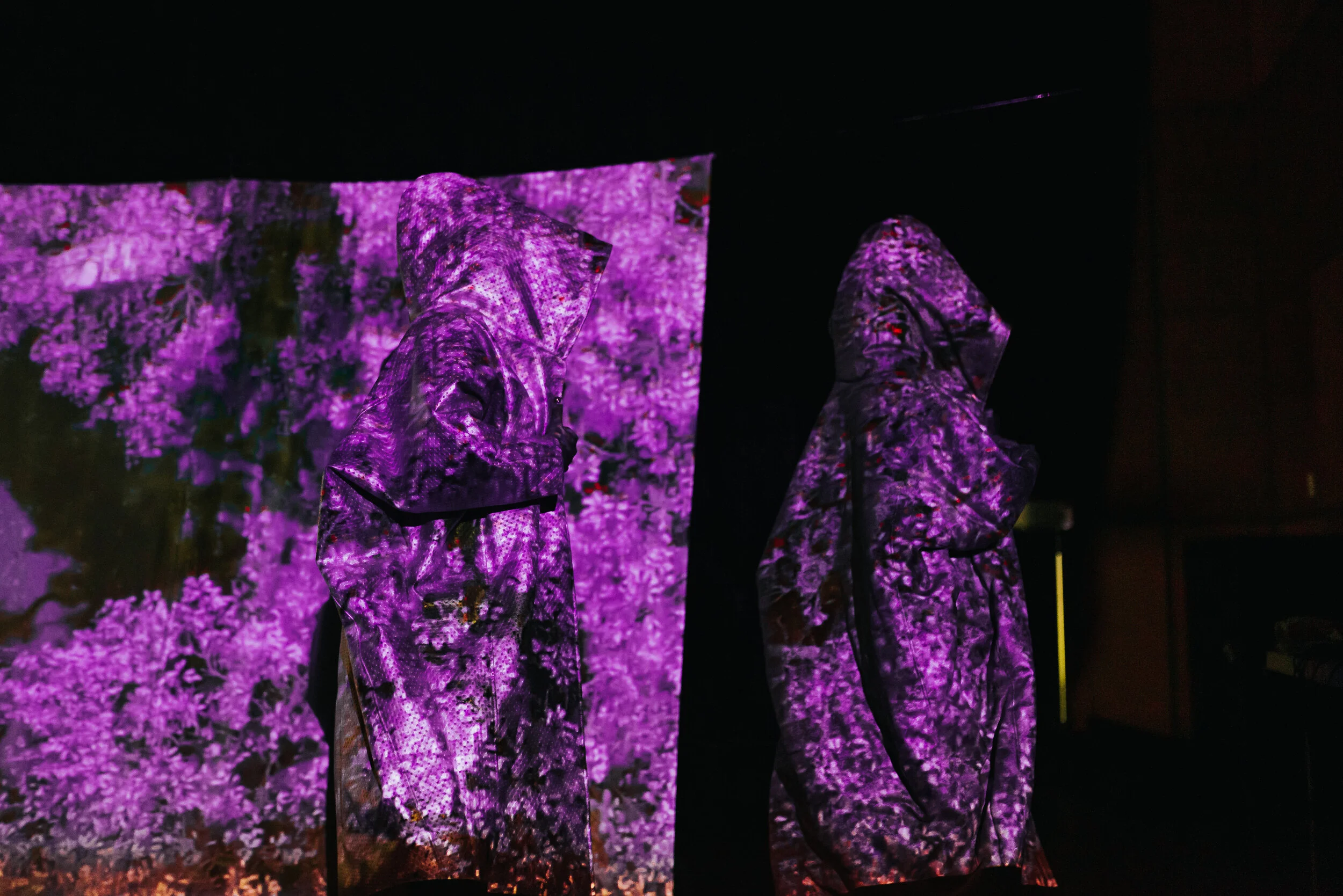 ProjectX_GhostDimensions2019_highres-89.jpg