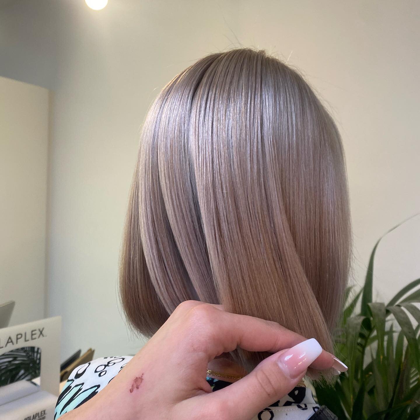 Aufhellung &amp; abmattierung bei sheila🌸  #balayage#stuttgart #lorealpro #esslingen #friseurstuttgart #lorealprofessionnel #esslingen #esslingenamneckar #lorealprofessionnel #olaplex #olaplexdeutschlan #blondehair #longhair #hairstyle #haircut #lov