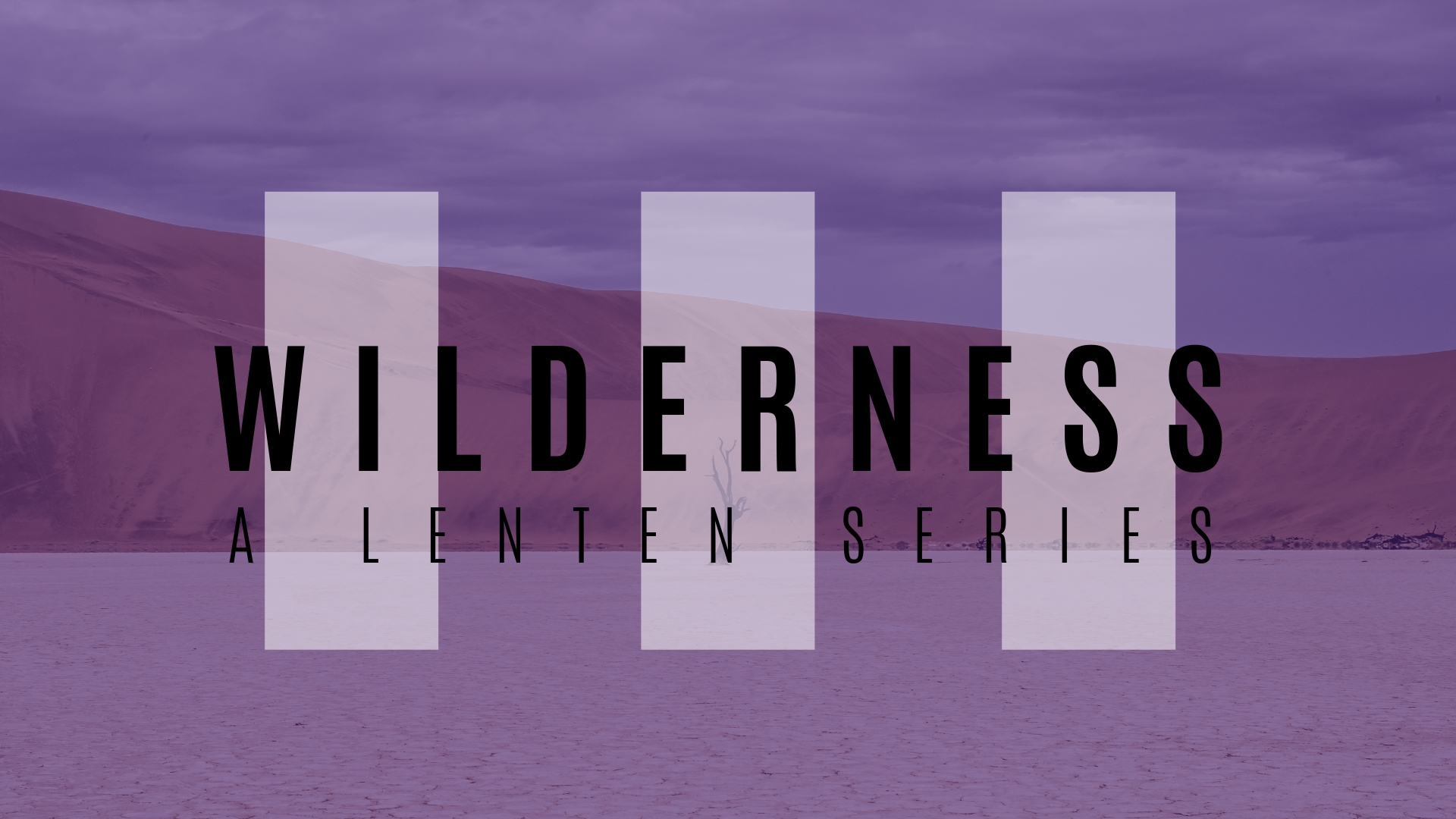 Wilderness Series Slides.jpg