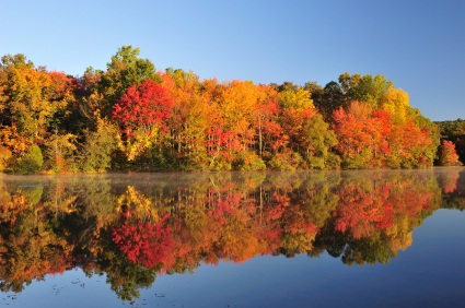 fall-foliage-minnesota.jpg.jpg