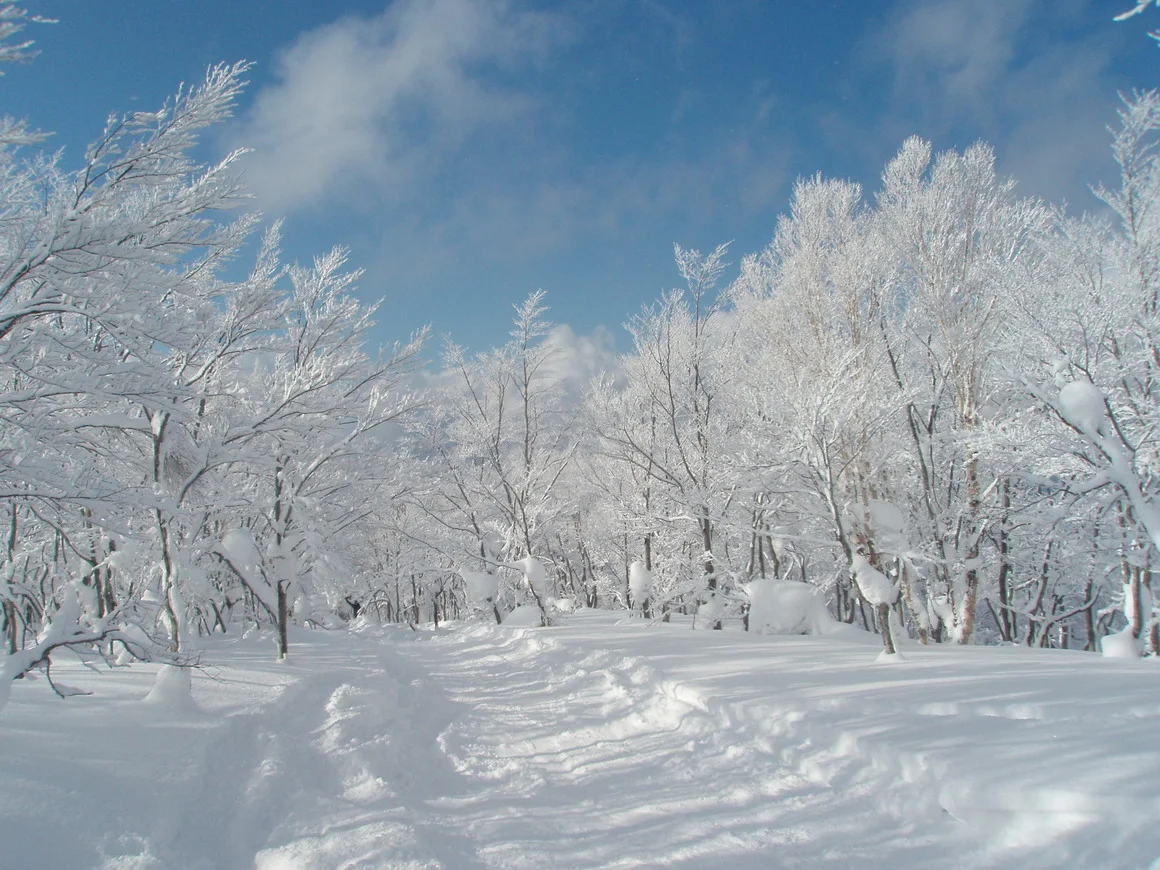 Carole Wilson Real Estate Carole Wilson Real Estate