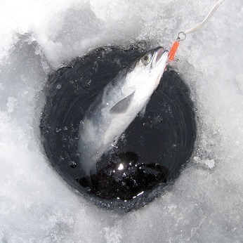 ice-fishing-hole.jpg