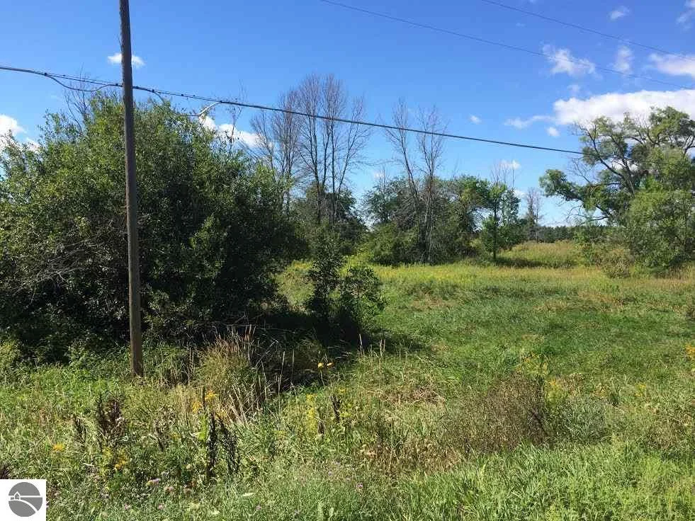 Carole Wilson Real Estate 0 Curtis Rd. Hale