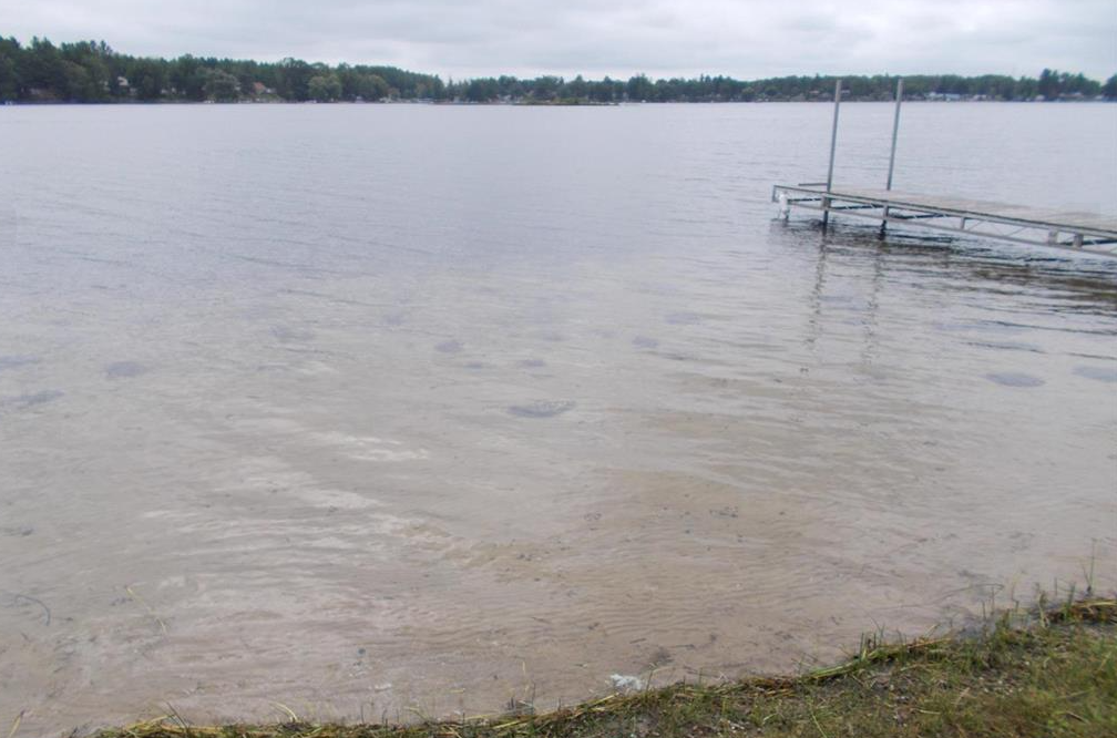 Carole Wilson Real Estate 8791 Saint Aubin Dr. West Londo Lake