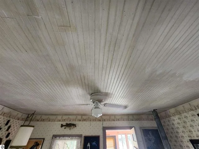 1936271-0e443b65-16e2-4356-b09b-5d34bce9da95 - Copy.jpg