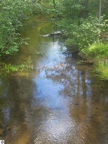 1933810-f88c71a1-9967-4c55-bf26-67b7741606b6 (1).jpg