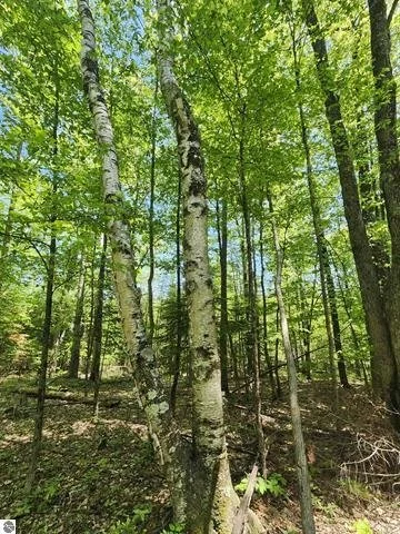 1946097-a1e274f9-1806-4ac6-9b91-525ffda9667a.jpg
