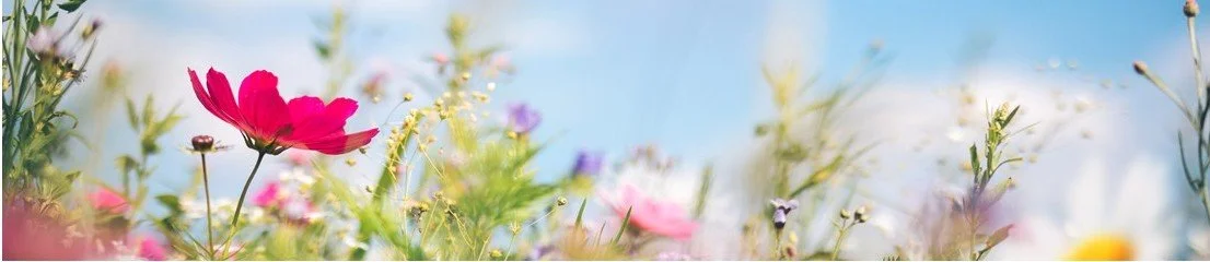 coaching tools and random.jpg