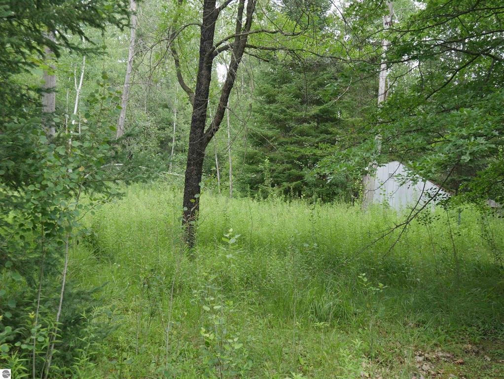 Carole Wilson Real Estate 2964 Maple Rd.