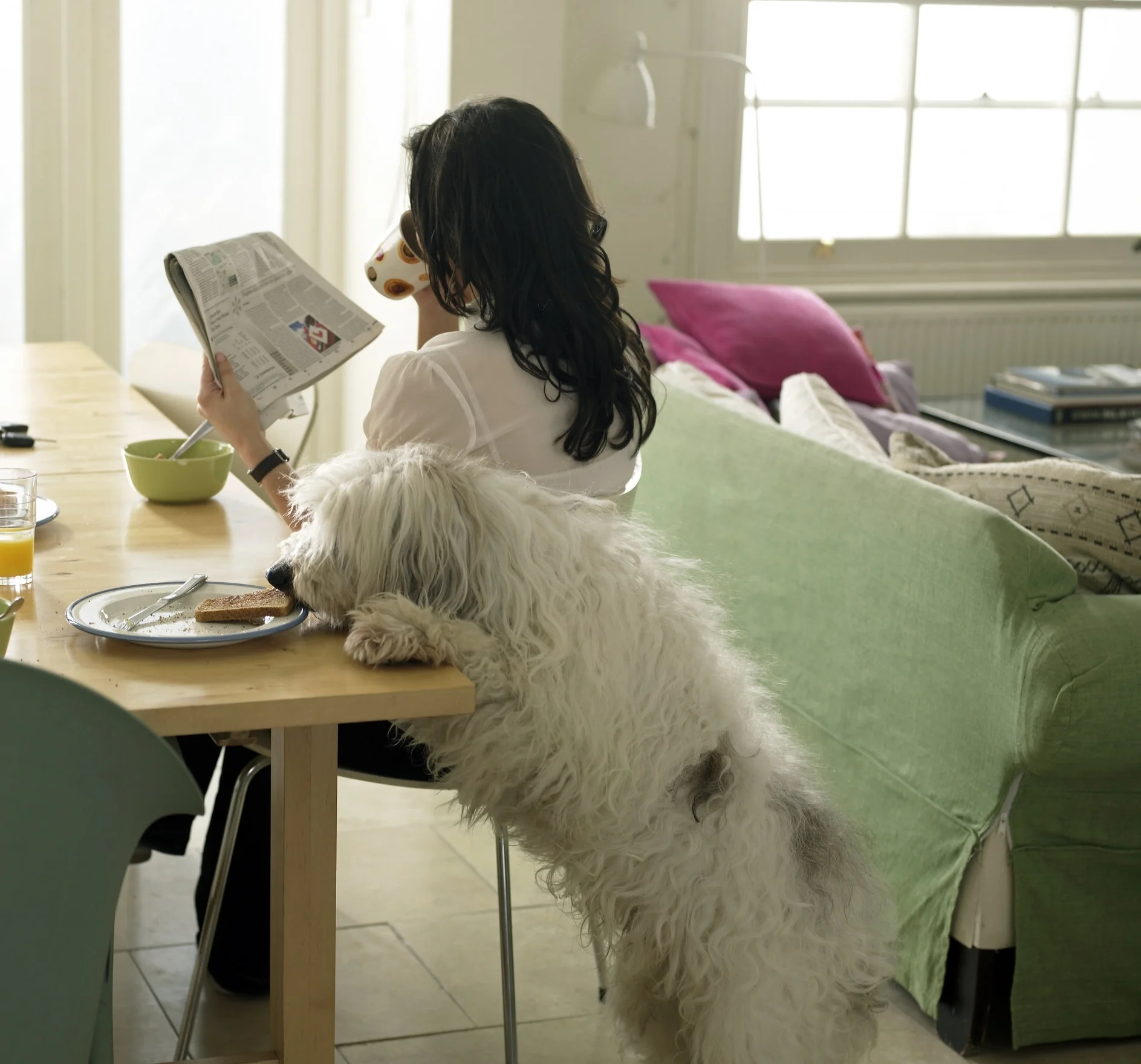 158_12_Diagnose.Women_.Sister_Wife_Mother.SS_.158.Dog-Steals-Toast.ts-82548950.jpg