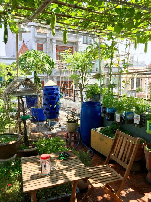 Thế giới rau quả, gà ‘sạch’ trên tầng 3 của anh nhân viên cảng hàng không