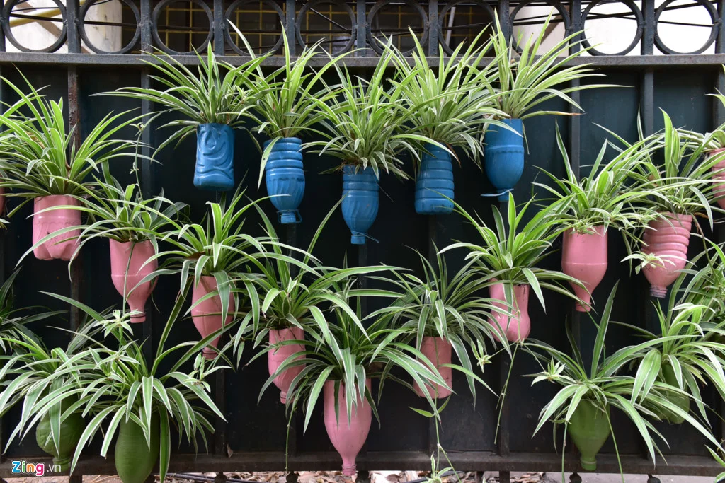 Giải pháp\ Bãi rác dọn 10 năm không sạch biến thành vườn hoa