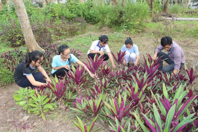 Sinh viên Cần Thơ sáng kiến vì sức khỏe cộng đồng