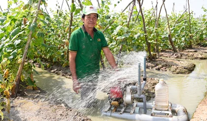 Sáng chế thiết bị tưới rau màu tiện dụng