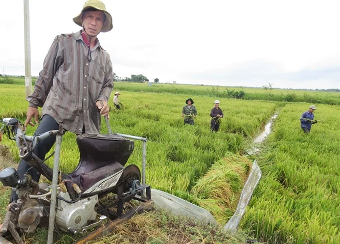 Nông dân Quảng Bình sáng chế máy tời, thuyền bạt kéo lúa