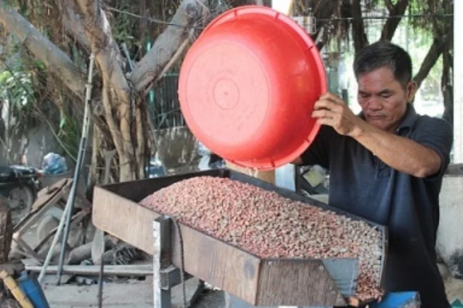 Ông Trương đổ lạc (đậu phộng) vào máy ép dầu lạc. Trước khí ép chảy thành dầu, máy có thể làm sạch hạt lạc.