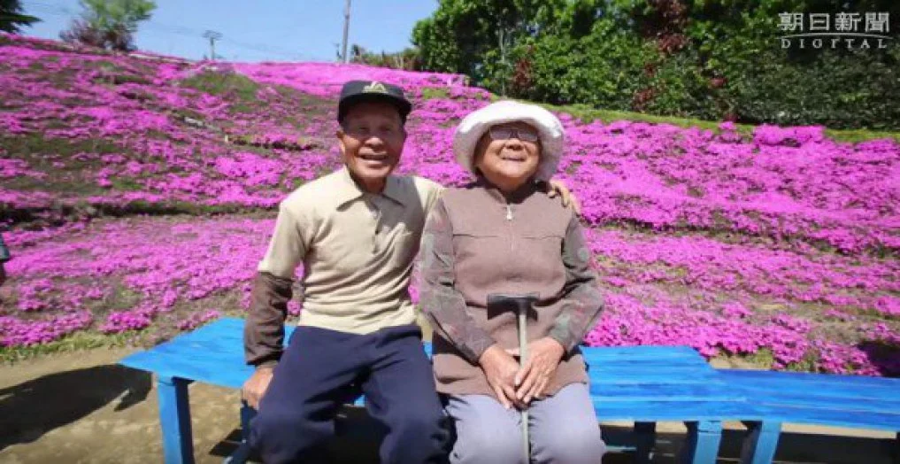 Vườn hoa tím tuyệt đẹp từ tình yêu với người vợ mù