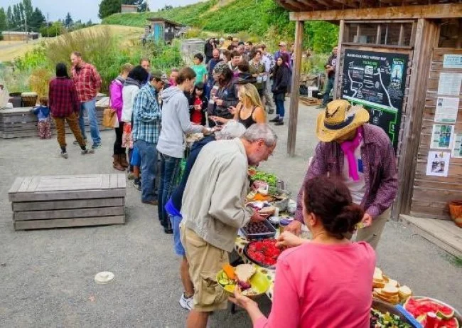 Người dân tụ tập liên hoan tại khu rừng vào dịp lễ hội mùa thu 2017