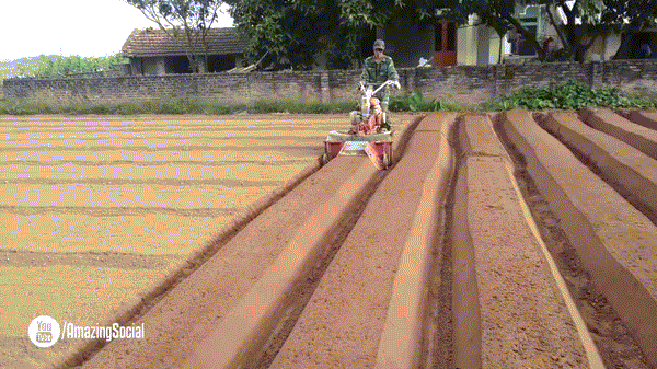 Thiết bị phân luống được chế tạo từ động cơ máy bơm.