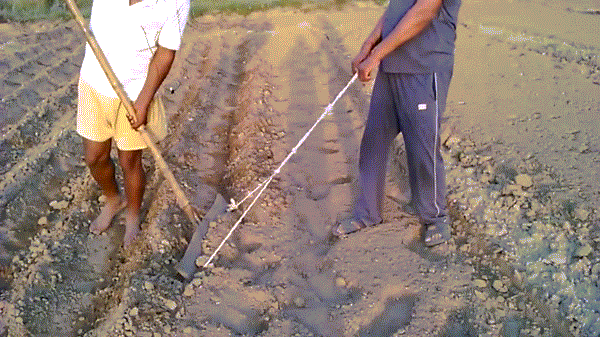 Máy đào đất công suất 2 "người lực".