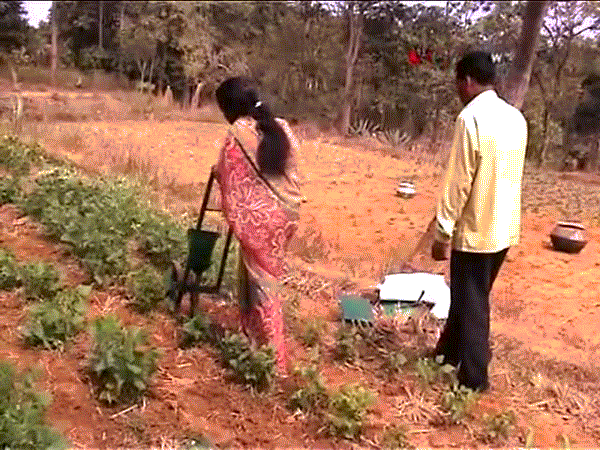 Máy gieo hạt làm từ xe đạp cũ.