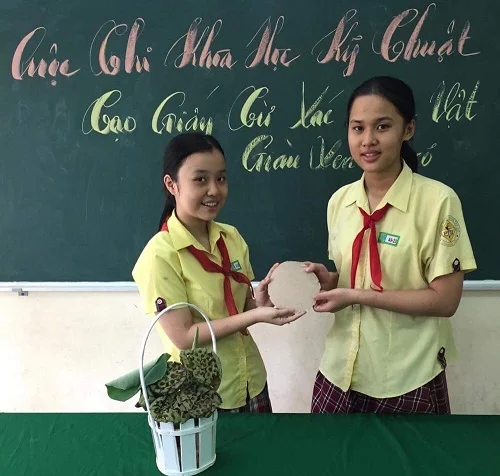 TP.HCM: Nữ sinh trung học cơ sở sản xuất giấy từ đài sen