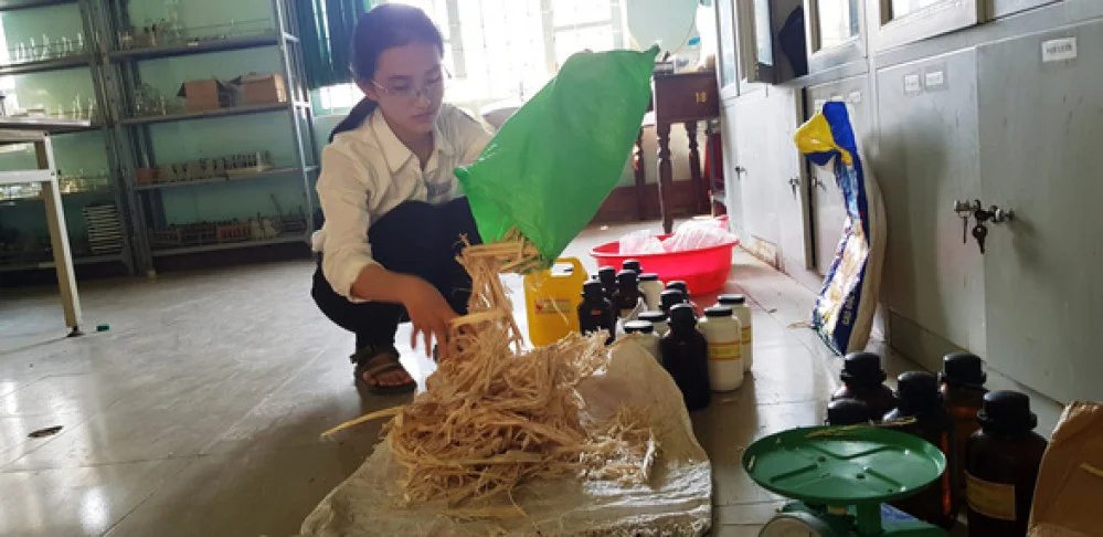 Bã mía phế phẩm được Mai Cao Kỳ Duyên xin từ các quán nước giải khác đem về phòng thì nghiệm ở trường để chế tạo giấy chống thấm - Ảnh: NHẬT LINH