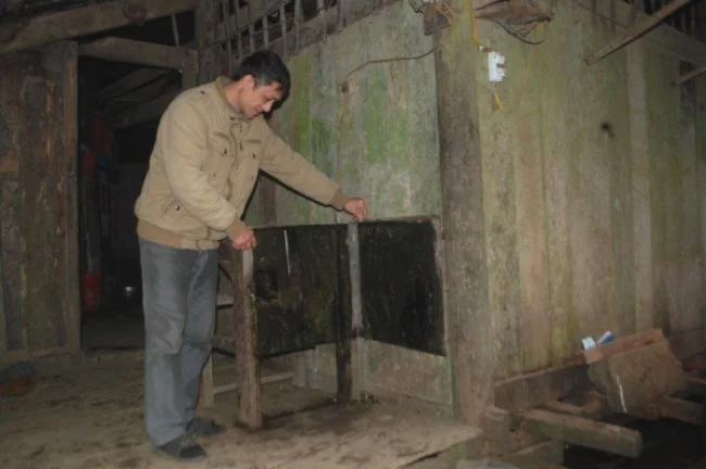 Anh Vương Hùng Nam bên máy thái thức ăn gia súc được cải tiến.