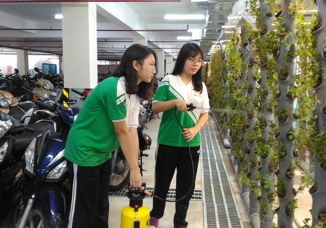 Nhóm học sinh chăm sóc giàn cây khí canh trong hầm để xe. Ảnh: NVCC.