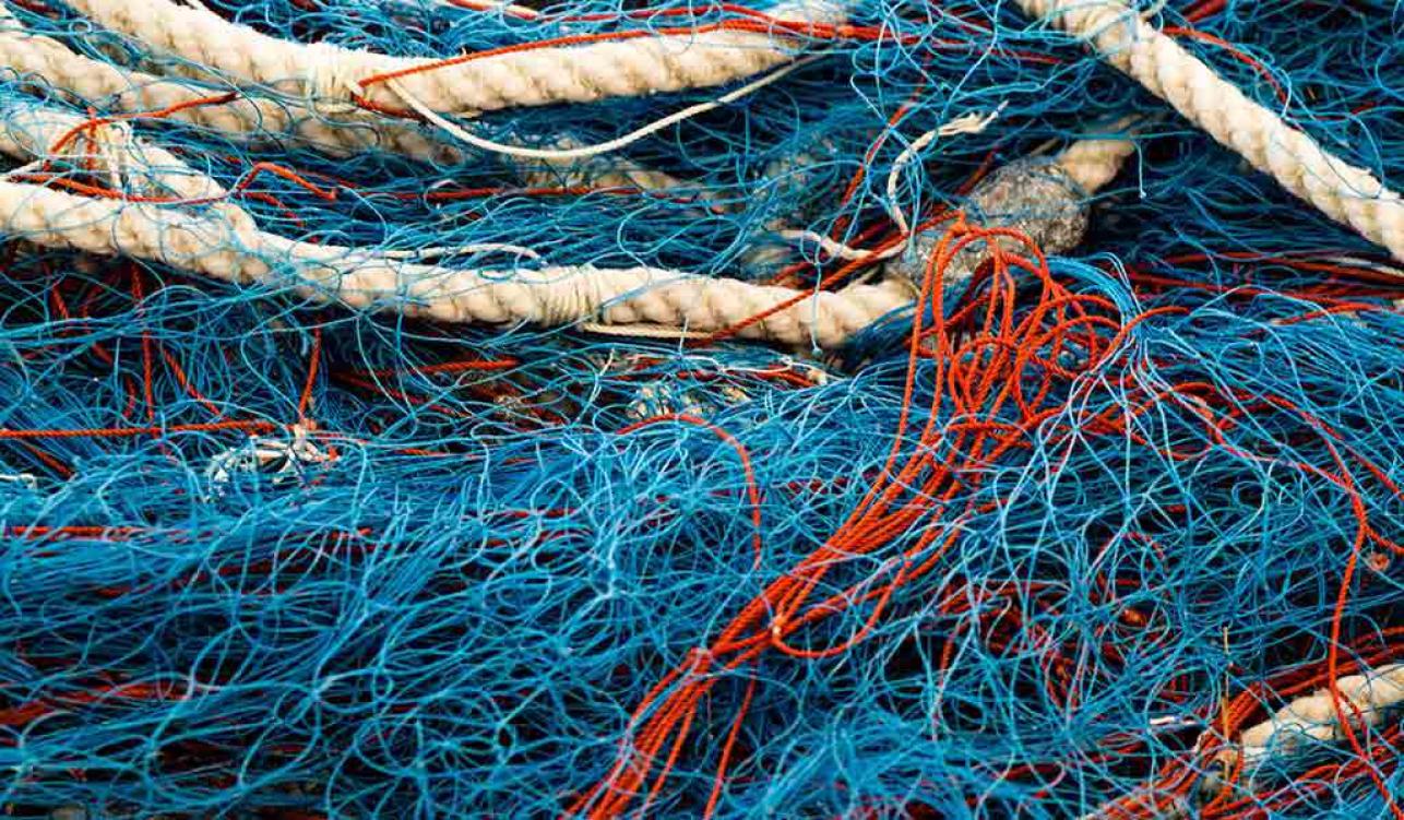 Fishing net перевод