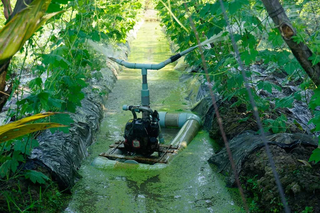 Lão nông sáng chế máy tưới rau màu