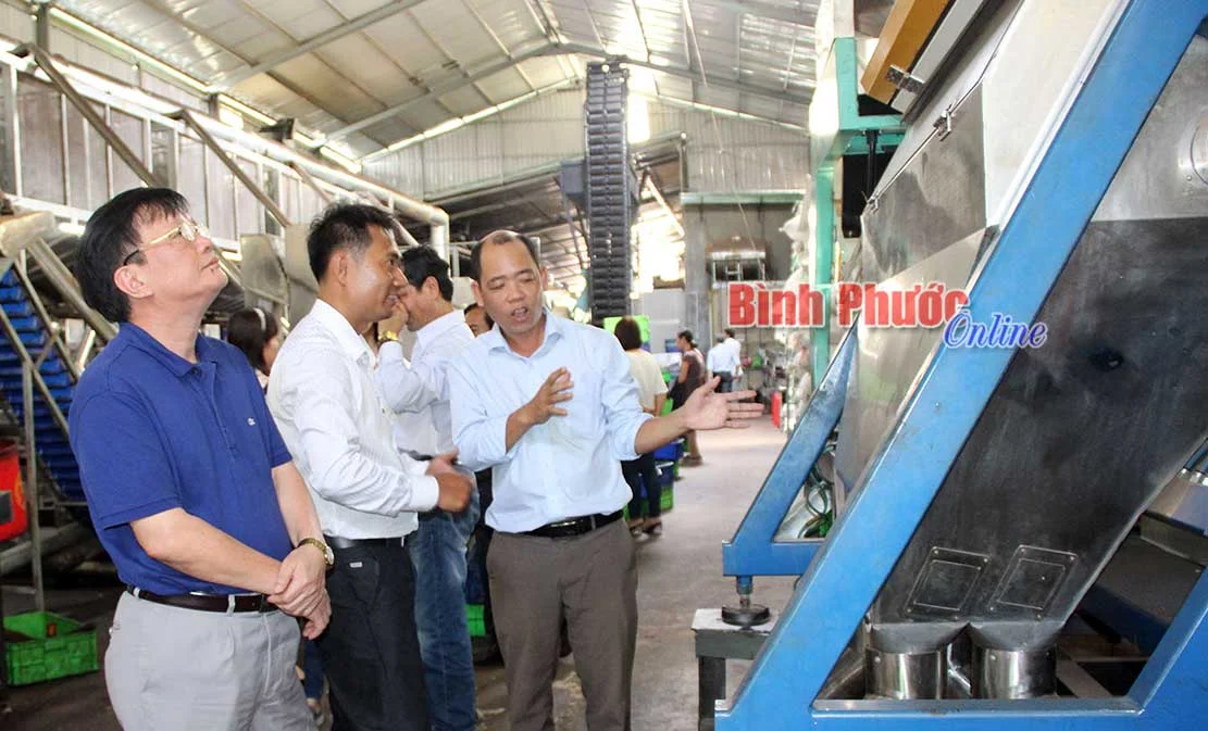 Công nghệ chế biến điều “made by” kỹ sư làng