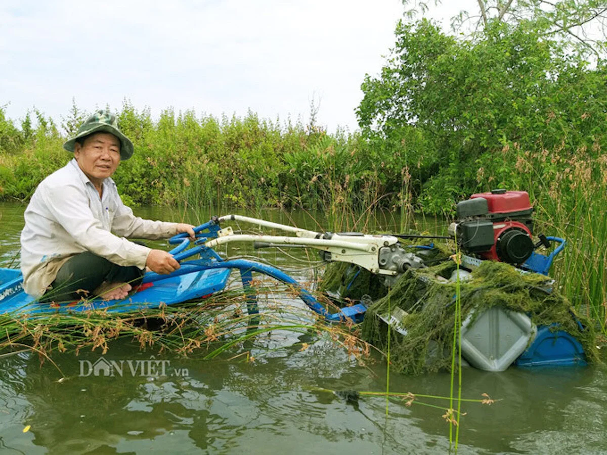 Máy cày siêu rẻ chạy dưới nước của 'kỹ sư vườn' mới học hết lớp 4