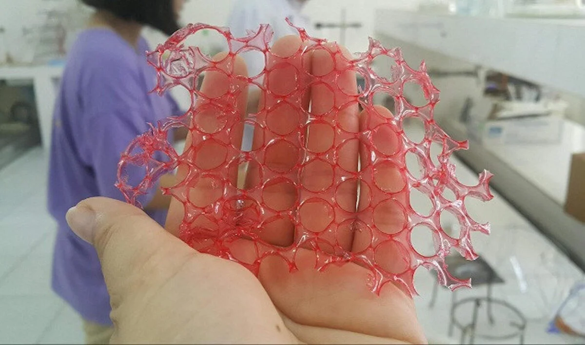Chế tạo thành công nhựa sinh học từ vỏ tôm và rác thải