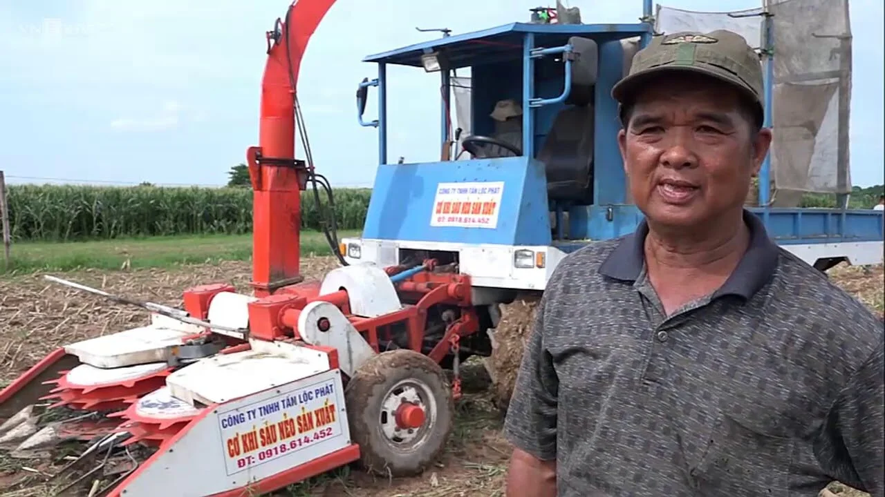 Lão nông miền Tây chế tạo máy chặt nghiền bắp tiện lợi