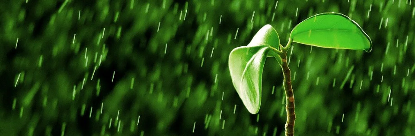 Sáng kiến tiết kiệm nước